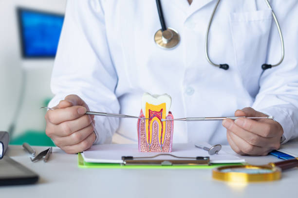 Best Dental Abscess Treatment in Port Labelle, FL